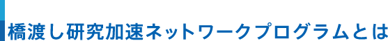 橋渡し研究加速ネットワークプログラムとは