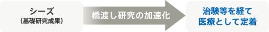 シーズ（基礎研究成果） 橋渡し研究の加速化 治験等を経て医療として定着